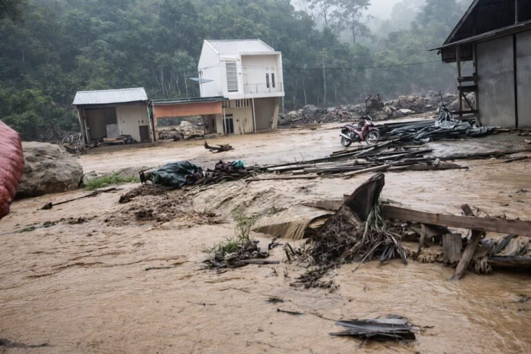 WhatsApp Image 2026-02-12 at 11.55.29