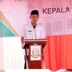 WhatsApp Image 2026-02-12 at 12.40.27