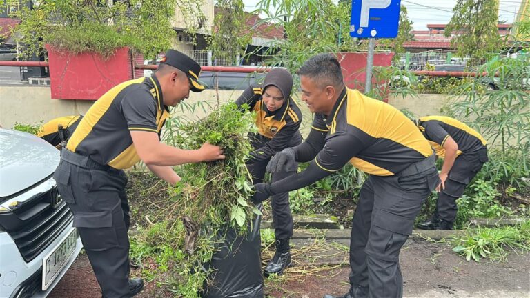 WhatsApp Image 2026-02-12 at 12.42.35