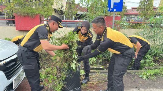 WhatsApp Image 2026-02-12 at 12.42.35