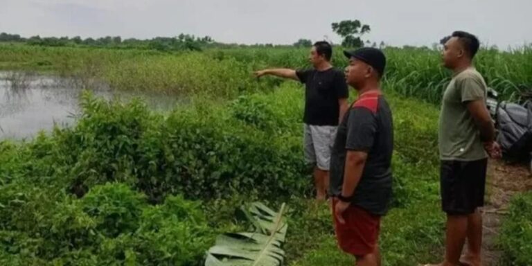 WhatsApp Image 2026-02-12 at 12.58.29