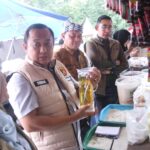 WhatsApp Image 2026-02-12 at 13.30.08