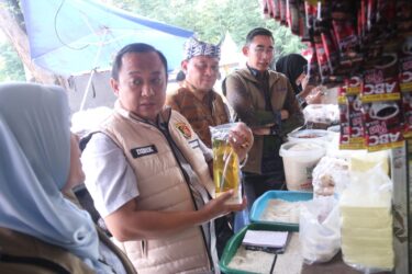 WhatsApp Image 2026-02-12 at 13.30.08