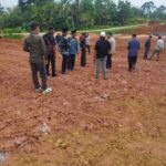 WhatsApp Image 2026-02-12 at 13.48.01