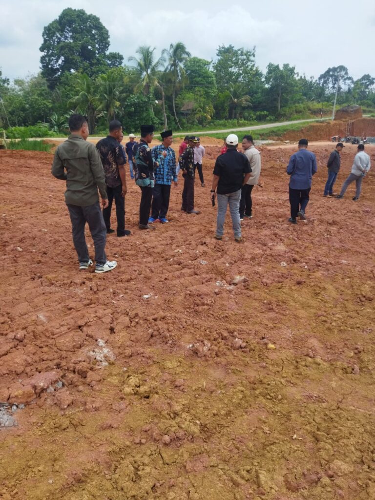 WhatsApp Image 2026-02-12 at 13.48.01