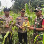 WhatsApp Image 2026-02-12 at 14.11.02