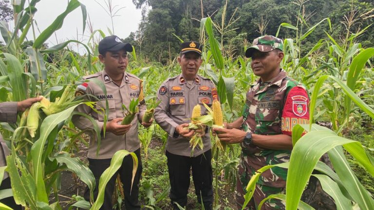 WhatsApp Image 2026-02-12 at 14.11.02