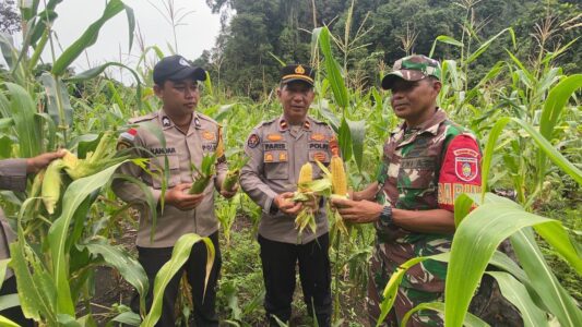 WhatsApp Image 2026-02-12 at 14.11.02