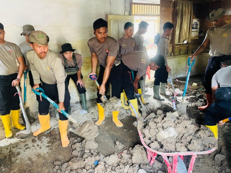 WhatsApp Image 2026-02-12 at 14.26.42