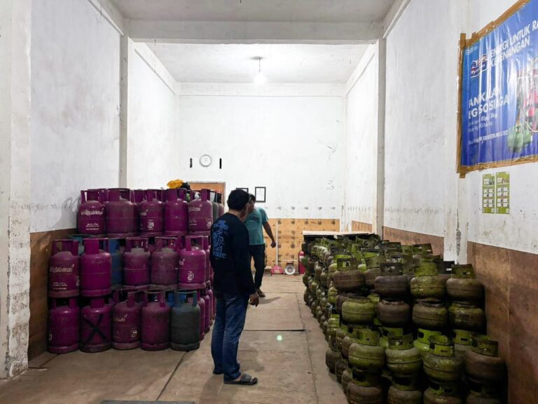 WhatsApp Image 2026-02-12 at 18.29.39