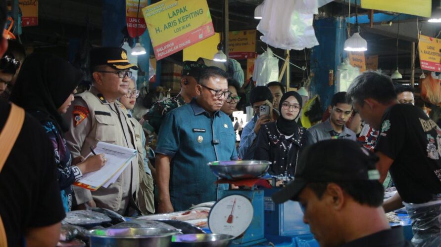 WhatsApp Image 2026-02-12 at 18.42.24