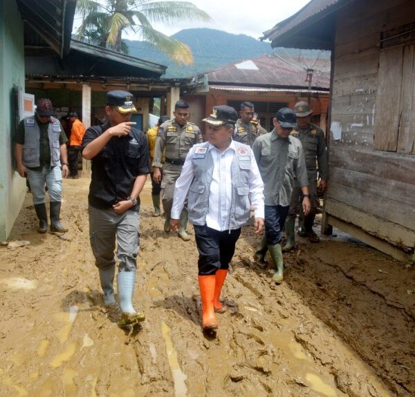 WhatsApp Image 2026-02-12 at 20.19.39