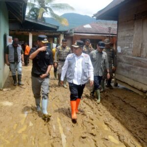 WhatsApp Image 2026-02-12 at 20.19.39