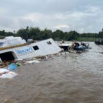 WhatsApp Image 2026-02-12 at 20.33.32