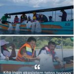 WhatsApp Image 2026-02-13 at 10.24.11