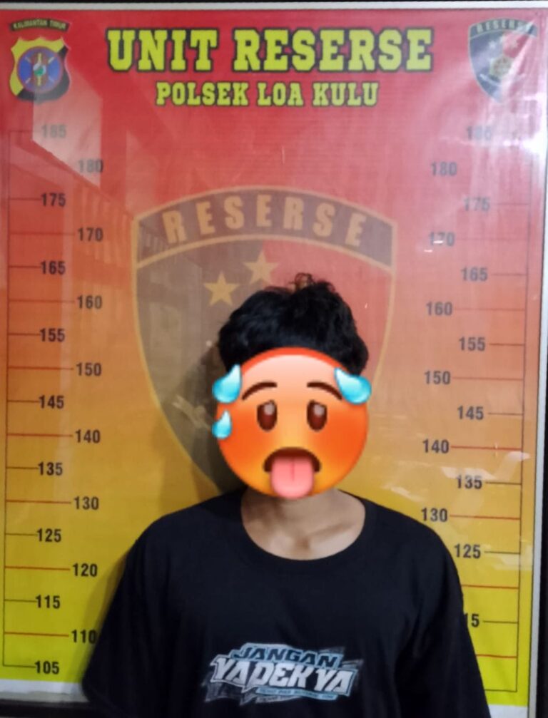 WhatsApp Image 2026-02-13 at 14.29.53