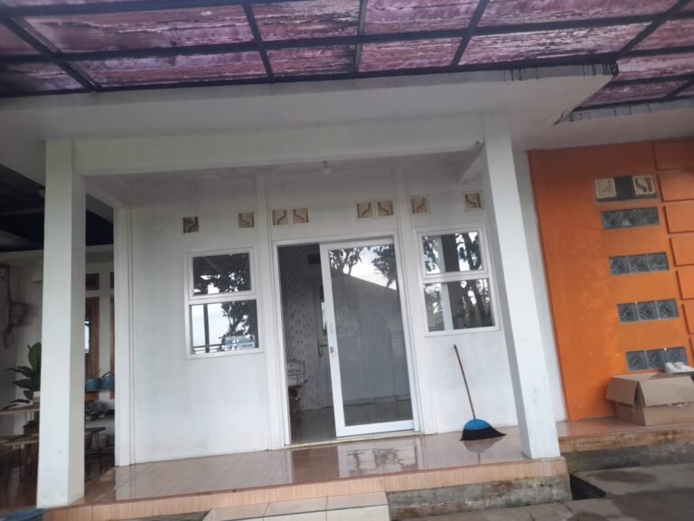 WhatsApp Image 2026-02-13 at 18.52.30