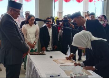 WhatsApp Image 2026-02-13 at 21.17.01