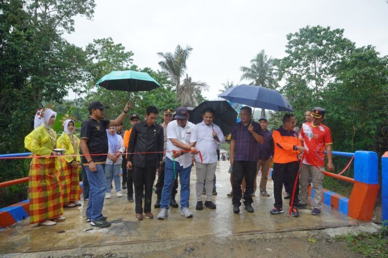 WhatsApp Image 2026-02-14 at 09.11.55