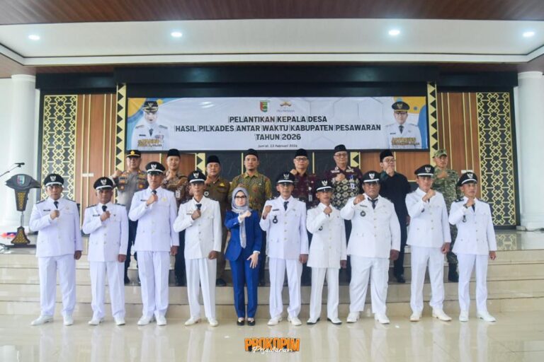 WhatsApp Image 2026-02-14 at 11.52.16