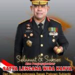 WhatsApp Image 2026-02-14 at 14.06.21