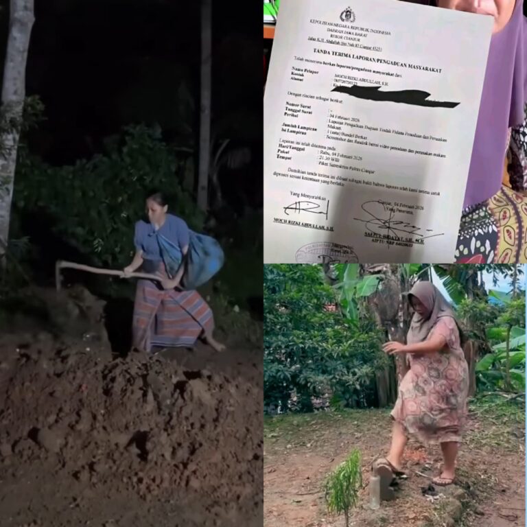 WhatsApp Image 2026-02-14 at 15.46.09