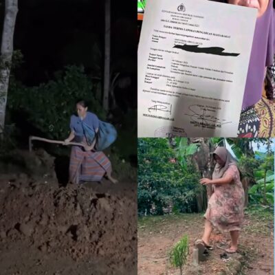 WhatsApp Image 2026-02-14 at 15.46.09