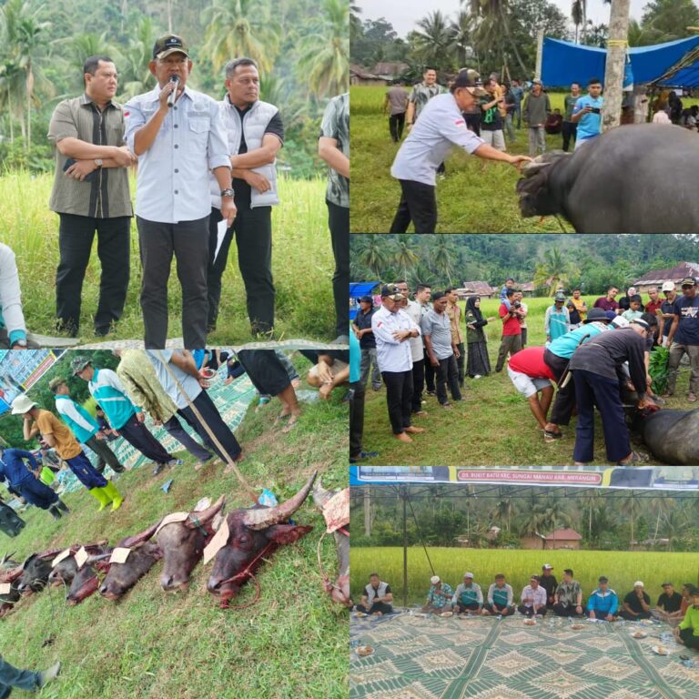 WhatsApp Image 2026-02-14 at 15.51.28