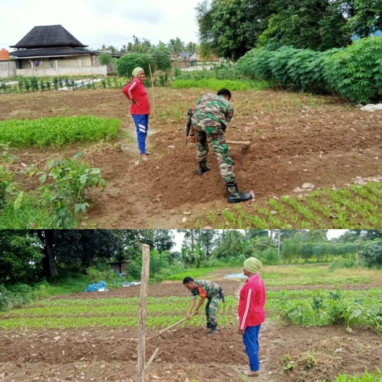 WhatsApp Image 2026-02-14 at 15.58.22