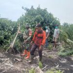 WhatsApp Image 2026-02-15 at 10.15.20