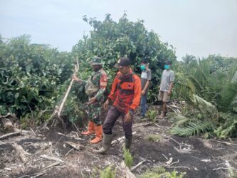 WhatsApp Image 2026-02-15 at 10.15.20