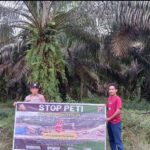 WhatsApp Image 2026-02-15 at 12.28.54