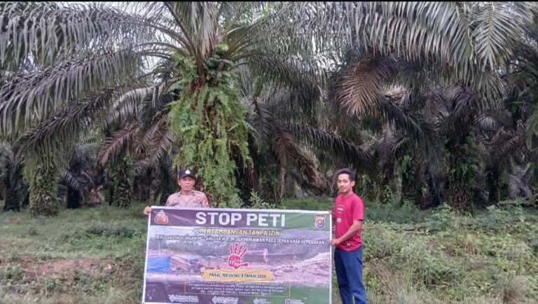 WhatsApp Image 2026-02-15 at 12.28.54