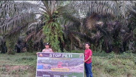 WhatsApp Image 2026-02-15 at 12.28.54