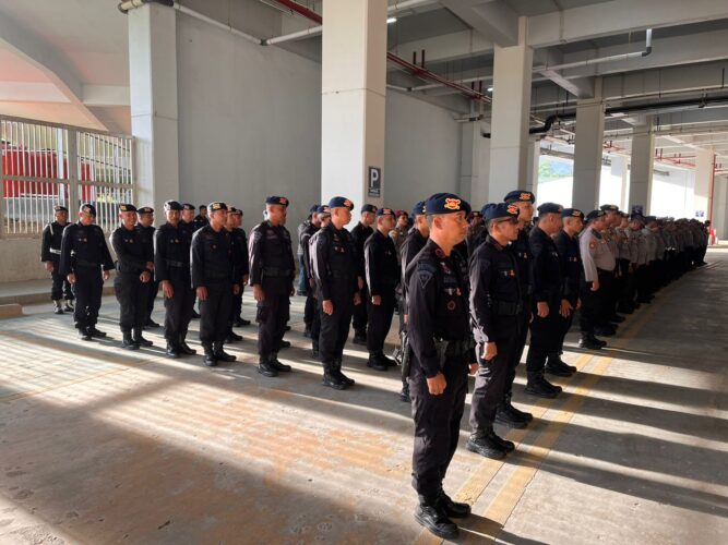 WhatsApp Image 2026-02-15 at 17.12.03