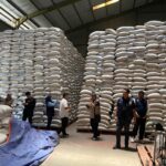 WhatsApp Image 2026-02-15 at 19.15.01