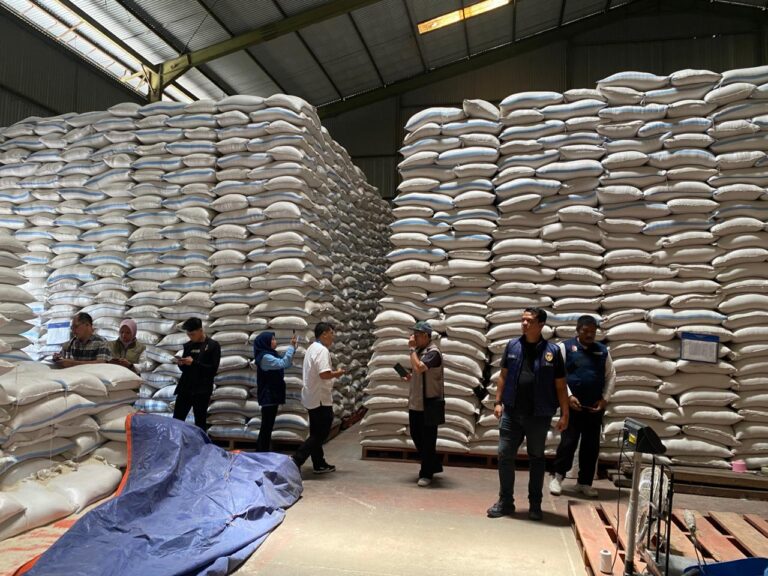 WhatsApp Image 2026-02-15 at 19.15.01