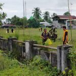 WhatsApp Image 2026-02-15 at 19.59.28