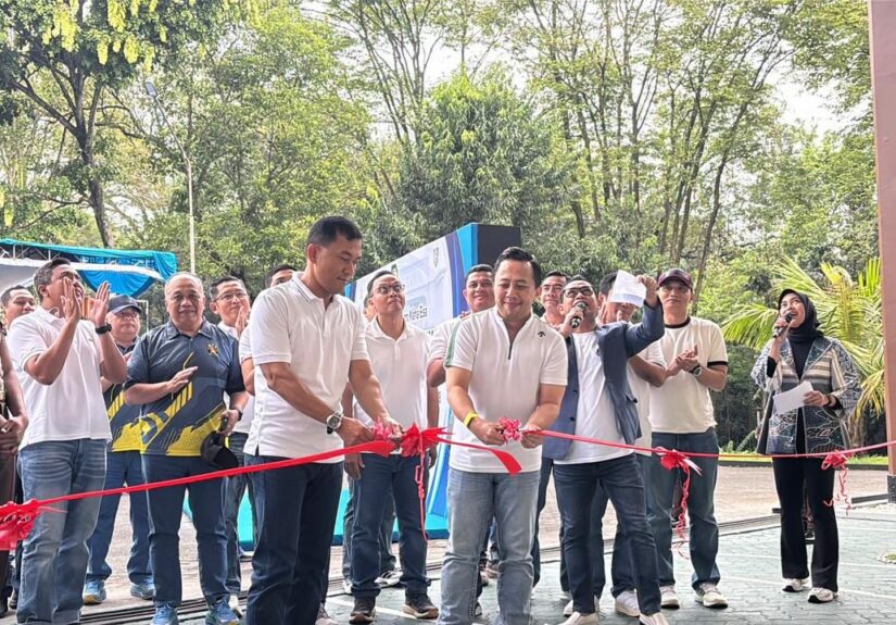 WhatsApp Image 2026-02-15 at 20.56.34