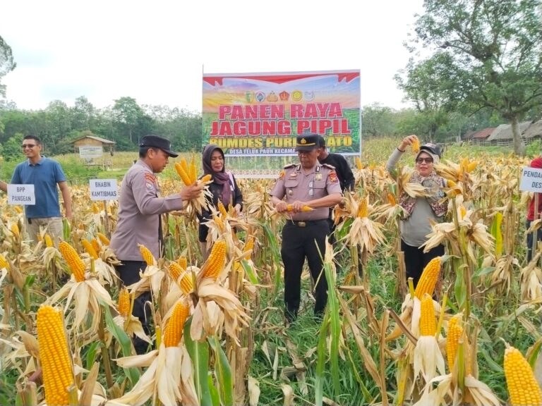 WhatsApp Image 2026-02-16 at 16.01.29