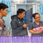 WhatsApp Image 2026-02-16 at 18.46.37