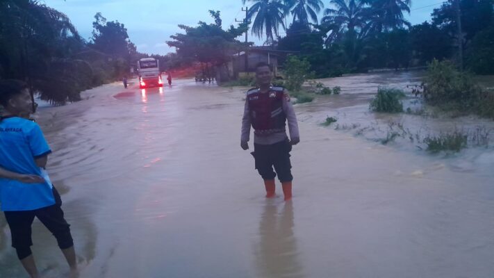 WhatsApp Image 2026-02-16 at 19.54.45