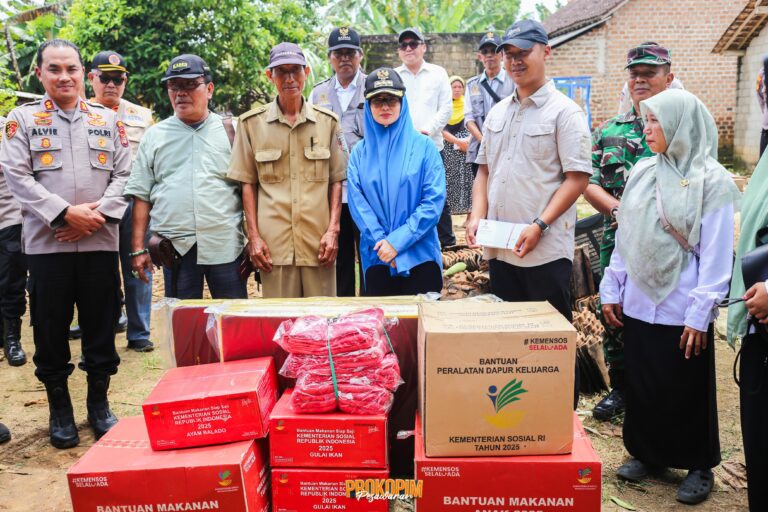 WhatsApp Image 2026-02-16 at 19.57.14