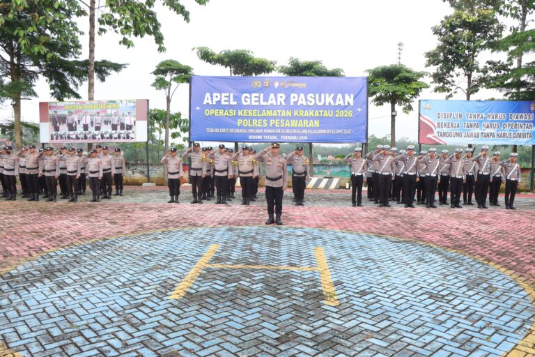 WhatsApp Image 2026-02-16 at 19.59.41