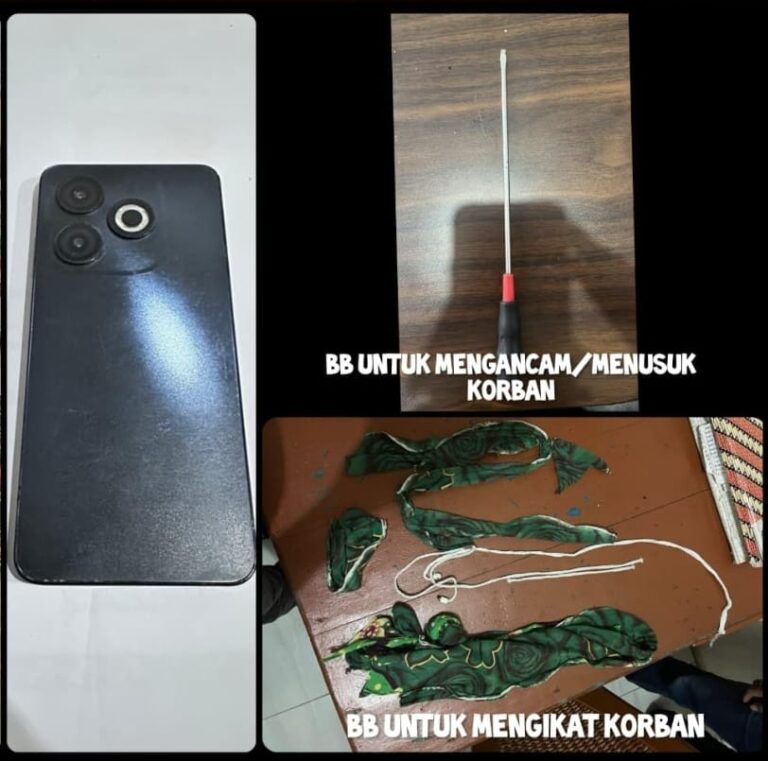 WhatsApp Image 2026-02-17 at 00.19.48