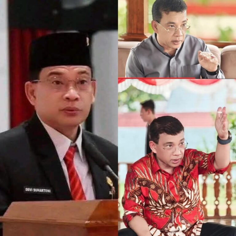 WhatsApp Image 2026-02-17 at 00.21.56