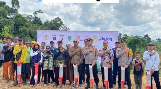 WhatsApp Image 2026-02-17 at 08.18.44