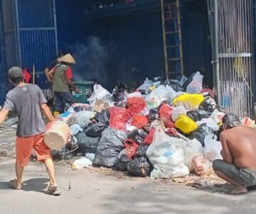 WhatsApp Image 2026-02-17 at 10.36.03