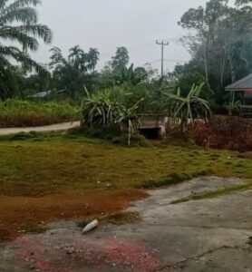 WhatsApp Image 2026-02-17 at 10.47.37