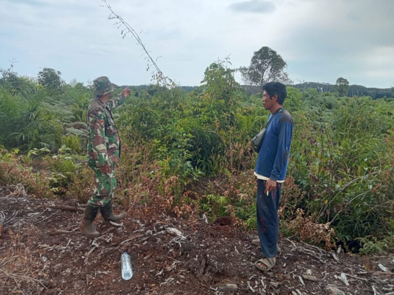 WhatsApp Image 2026-02-17 at 13.22.23